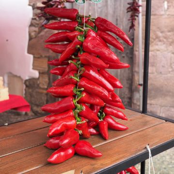Punainen maustepaprika Rubens Lungo Rosso