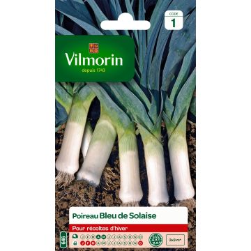 Purjo Bleu de Solaise - Vilmorin