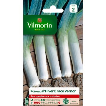 Purjo talvi 2 Vernor - Vilmorin