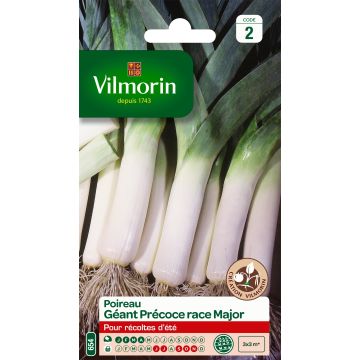 Purjo Major - Vilmorin