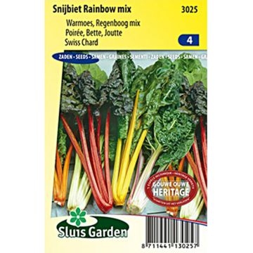 Lehtimangoldi Rainbow mix