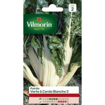 Lehtimangoldi White Silver 3 - Vilmorin