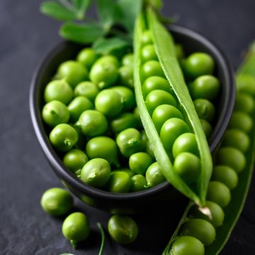 Silpoherne Téléphone - Pisum sativum
