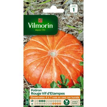 Jättikurpitsa Rouge Vif d'Etampes - Vilmorin