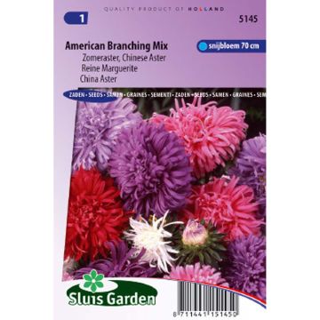 Kiinanasteri American Branching Mix (siemenet)