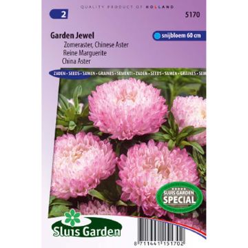 Kiinanasteri Garden Jewel Rose (siemenet)