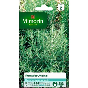 Rohtorosmariini (rosmariini) Vilmorin - Rosmarinus officinalis
