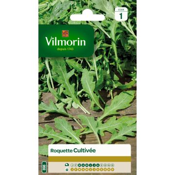 Vihannessinappikaali (rukola) Astra - Vilmorin