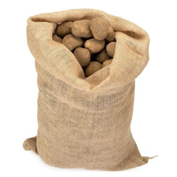 Erityinen 215 g/m² juuttisäkki perunoille , tilavuus 25 kg, 51 x 79 cm, The Cordeline.