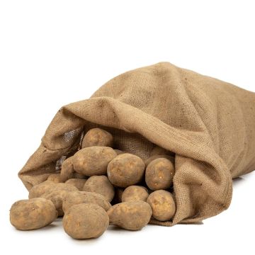 Erityinen perunasäkki, valmistettu kierrejuttikankaasta, 305 g/m², tilavuus 50 kg, 60 x 105 cm, La Cordeline.