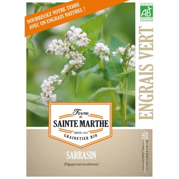 Viljatattari luomu - Ferme de Sainte Marthe - Fagopyrum esculentum