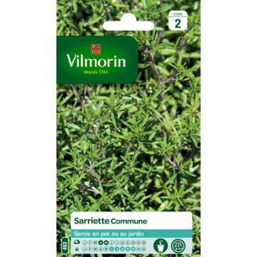 Kesäkynteli - Vilmorin - Satureja hortensis