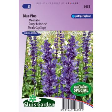Härmesalvia Blue Plus (siemenet)