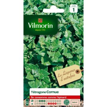 Lamopinaatti - Vilmorin - Tetragonia tetragonioides