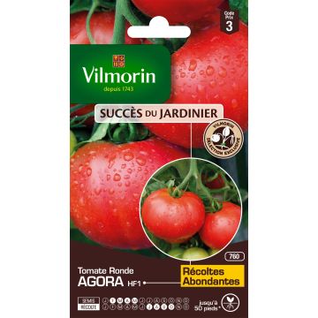 Tomaatti Agora F1 - Vilmorin