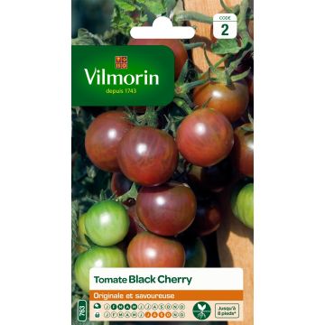 Kirsikkatomaatti Black Cherry - Vilmorin