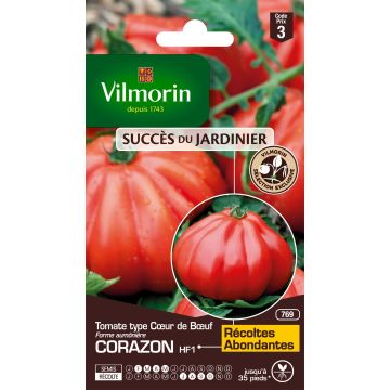 Tomaatti Corazon F1 - Vilmorin