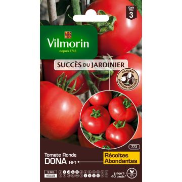 Tomaatti Dona F1 - Vilmorin