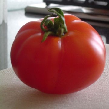 Pihvitomaatti Marmande luomu