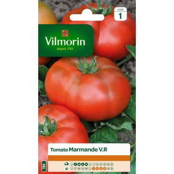 Pihvitomaatti Marmande - Vilmorin