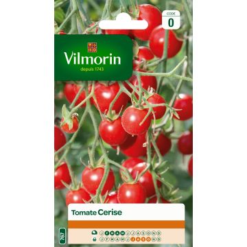 Kirsikkatomaatti - Vilmorin - Solanum lycopersicum