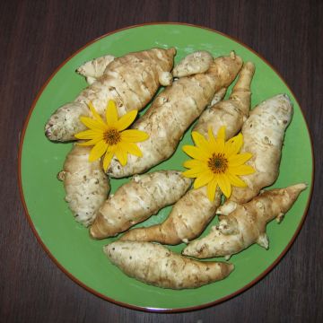 Maa-artisokka Fuseau Culinaire