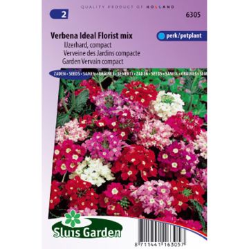 Tarhaverbena Ideal Florist Mix (siemenet)