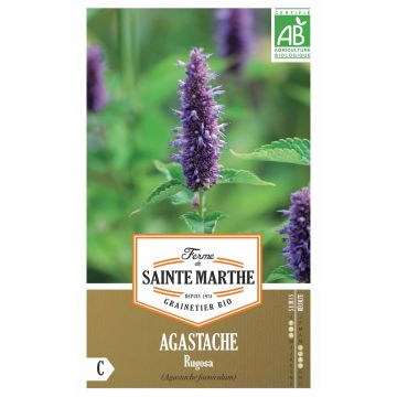 Koreaniiso luomu - Ferme de Sainte Marthe - Agastache rugosa
