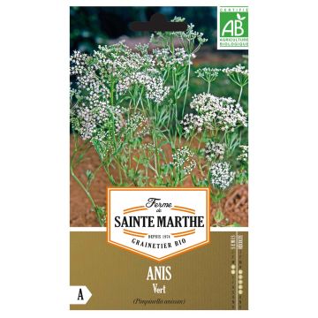 Anisruoho luomu - Ferme de Sainte Marthe - Pimpinella anisum