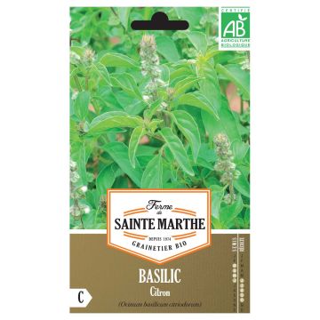 Sitruunabasilika Citriodorum luomu - Ferme de Sainte Marthe