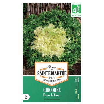 Kähäräendiivi de Meaux luomu - Ferme de Sainte Marthe