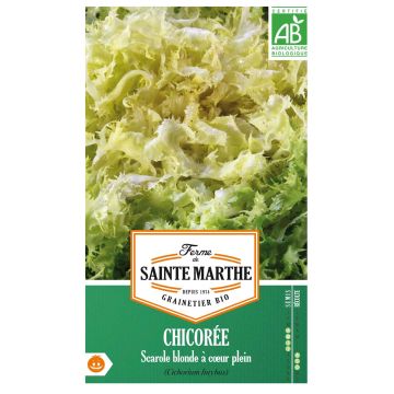 Siloendiivi Blonde à Coeur Plein luomu - Ferme de Sainte Marthe