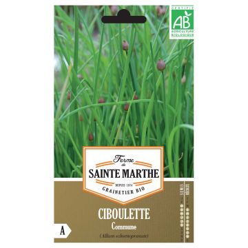 Ruoholaukka luomu - Ferme de Sainte Marthe - Allium schoenoprasum