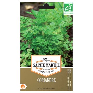 Korianteri luomu - Ferme de Sainte Marthe - Coriandrum sativum