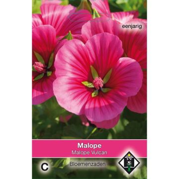 Maloppi Vulcan (siemenet)