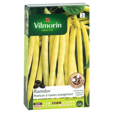 Salkopapu Ramdor - Vilmorin