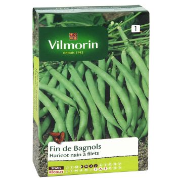 Palkoineen syötävä tarhapapu Fin de Bagnols - Vilmorin