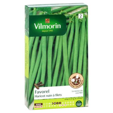 Tarhapapu Favorel - Vilmorin