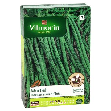 Taitepapu Marbel - Vilmorin