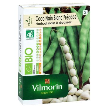 Matala tarhapapu Coco luomu - Vilmorin