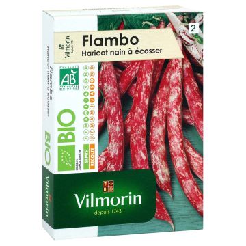 Tarhapapu Flambo luomu - Vilmorin