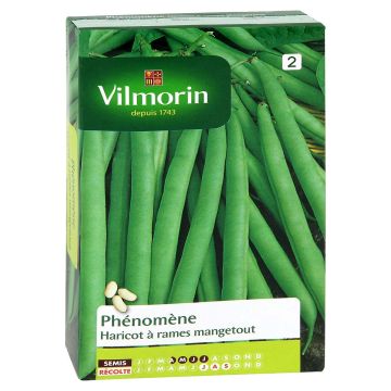 Salkopapu Phénomène - Vilmorin