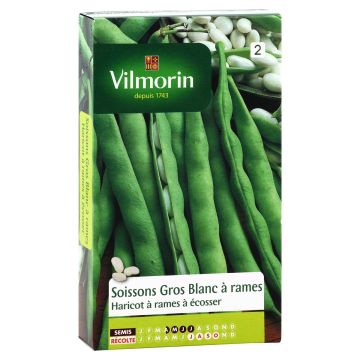 Salkopapu Soissons gros blanc - Vilmorin