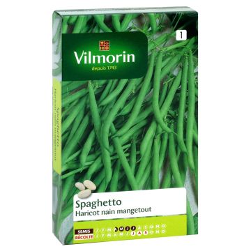 Palkoineen syötävä tarhapapu Spaghetto - Vilmorin