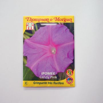 Aitoelämänlanka Candy Pink (siemenet)