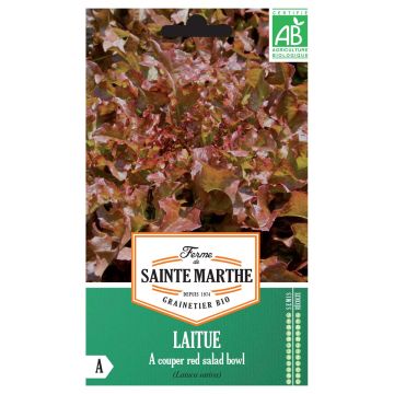 Salaatti Red Salad Bowl luomu - Ferme de Sainte Marthe