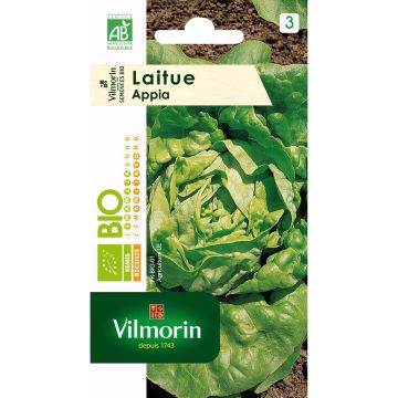 Salaatti Appia luomu - Vilmorin