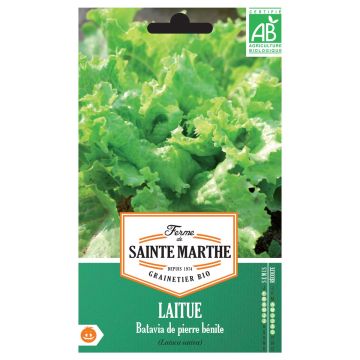 Bataviasalaatti de Pierre Bénite luomu - Ferme de Sainte Marthe