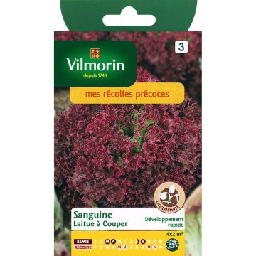 Bataviasalaatti Sanguine - Vilmorin