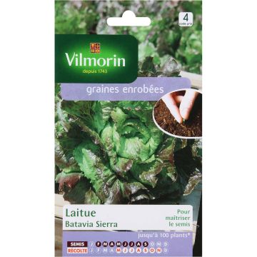 Bataviasalaatti Sierra - Vilmorin